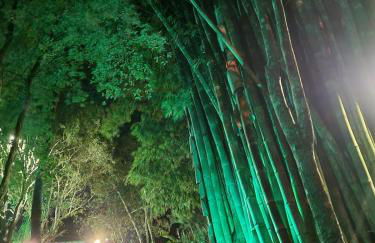 Refúgio Mata Atlântica, Riacho, Piscina, Natureza - Foto 57