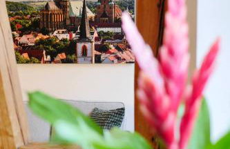 Altstadtjuwel am Hospitalplatz - 3 Zimmer mit Balkon - Foto 29