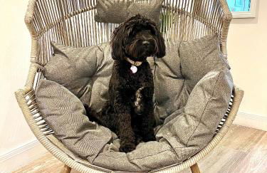 Mode Apartments St Annes - Foto 80