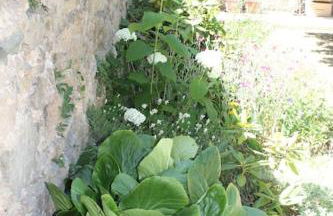 Gîte Fleurs de Gamay au coeur du Beaujolais - Foto 27