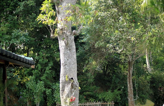 South Point Cottage - Whole Villa 3 Bedrooms (Sleeps 6) - Foto 24