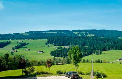 Stolz Diana - Foto 6