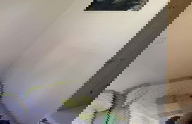 Nature Fun Apartments - Foto 3