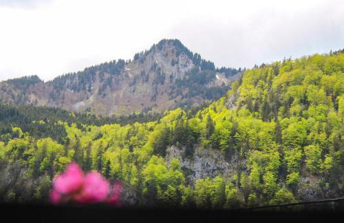 Bauernhof Auerhof Ferienwohnung - Foto 14