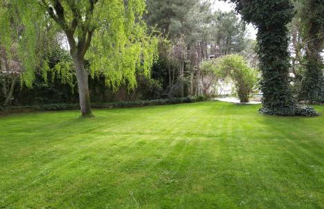 Rural Arco Iris - Foto 23