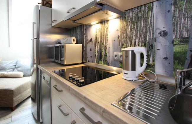 Apartment in Bad Sachsa Near Harz Mountains - Foto 4