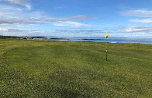 Cotton Shore - Foto 17