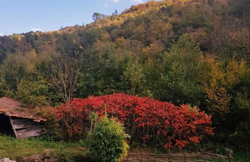 Le Moulin L'Official - Foto 22