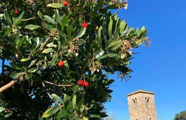 Holidayhome Villa Torre - Foto 41