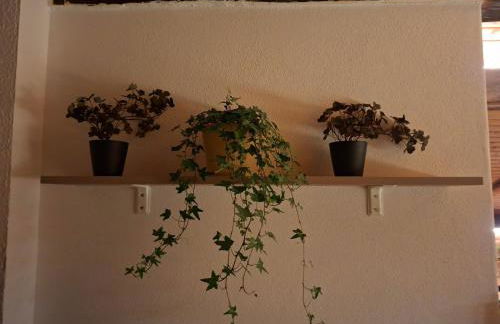 Ferienwohnung DachZeit - Foto 9