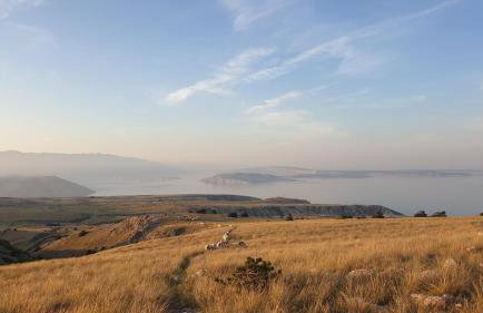 Eola Apartments - Foto 29