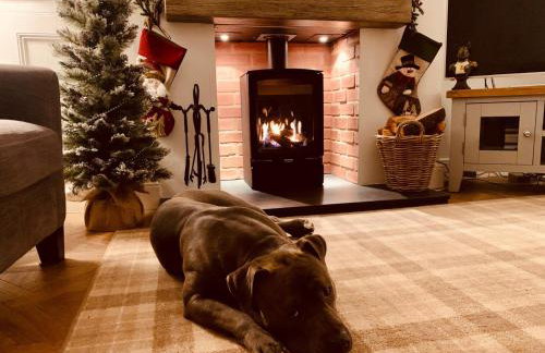 Woodland Cottage - private courtyard - Pet Friendly Retreat in the heart of Windermere - Photo 26