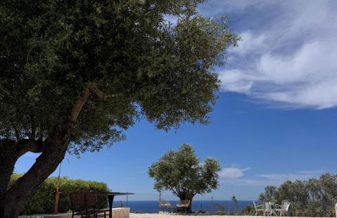 Meraki Mou My pride and care - Foto 28