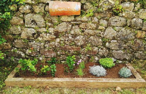 Finca Artienza - Foto 30