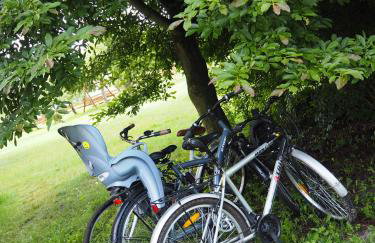 Agroturystyka Pod Orzechem - Foto 24