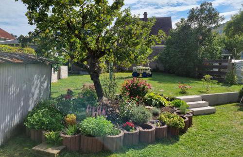 (Ferien-)Wohnung im schönen Fichtelgebirge - Foto 1