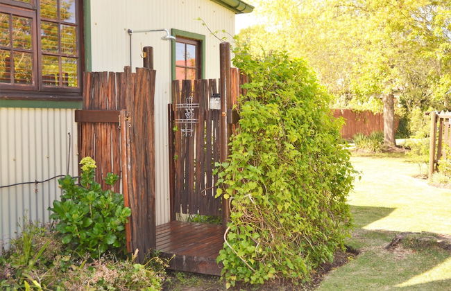 Forest Edge - Foto 42