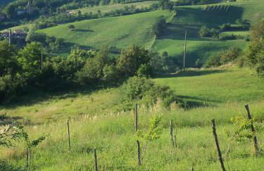 Poggio d'Incanto - Photo 9