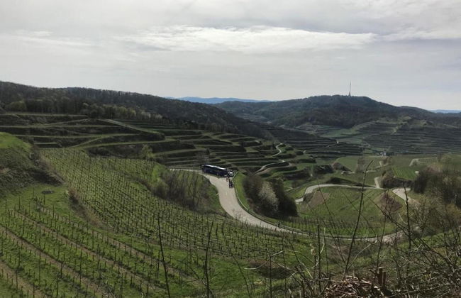 Ferienwohnung in Herbolzheim - Foto 23