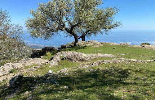 Casa OHANA CERIALE OPEN SPACE 4 PERSONE - Foto 34