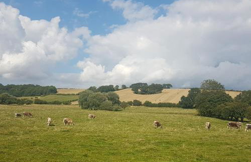 The Mansion Cottage - Foto 16