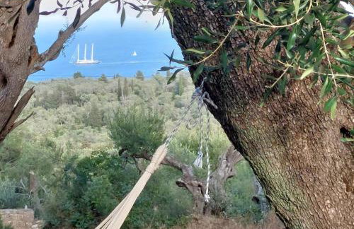 Casa Tereza - Foto 1