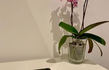 Residenza d'Artista al Conservatorio - Photo 29