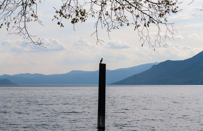 Casa Del Borgo "earth & Fire" - Foto 18