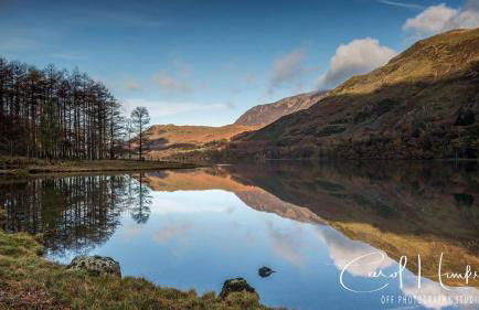 Red Rose Cottage - Foto 28