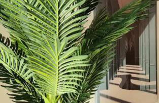 Vouliagmeni Thalassa Apartment - Photo 20