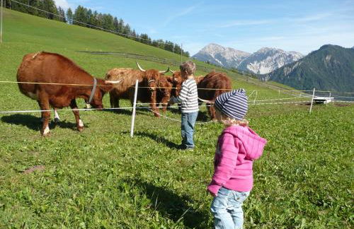 Chi Plans - Photo 12