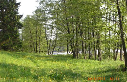 Domek Moczykija - Foto 41