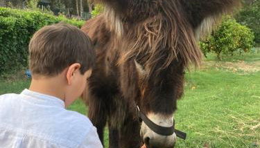 Quintinha Silvestre - Foto 3, Garden