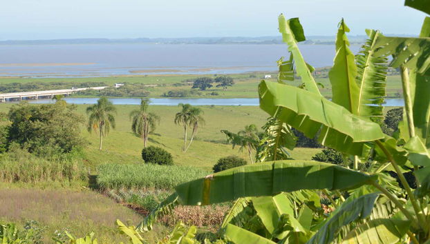 Discover the unique flora and fauna of this ecosystem