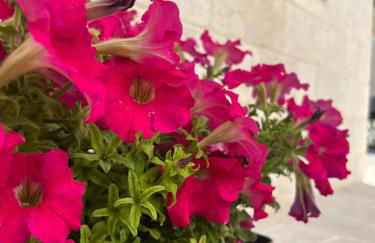 Casa Cipriani - Foto 8