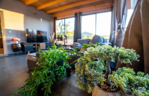 Palomino house - Foto 37