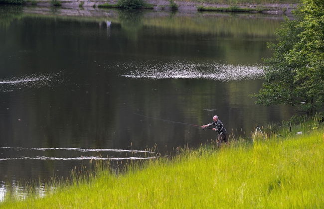 Relaxing Forest Escape With BBQ - Foto 29