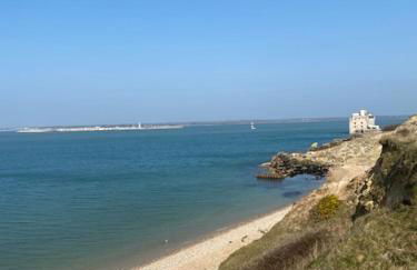 Brambles chine - Photo 17