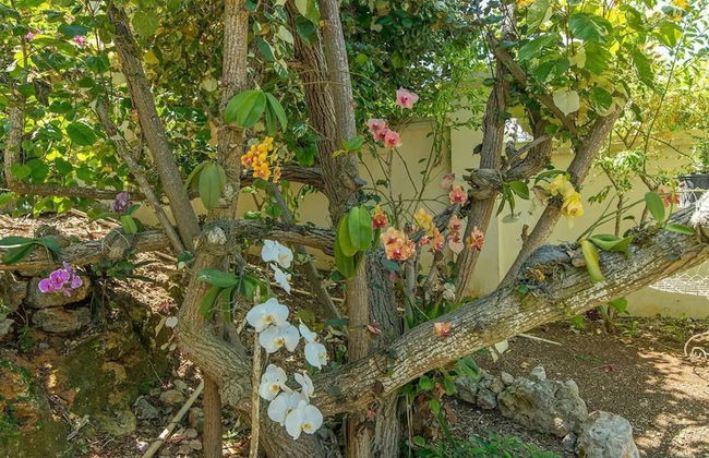 Nianna Luxurious Villa - Foto 58