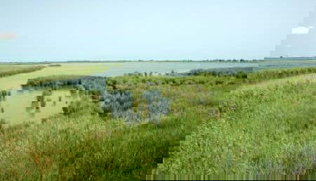 Ebro Delta Day Trip + Boat Ride - Foto 3