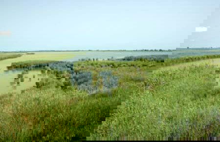 Ebro Delta Day Trip + Boat Ride - Photo 3