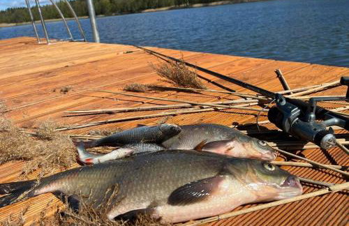 Nini House Swietajno - Foto 61