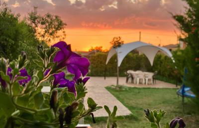 El Rincón de Willy - Foto 2