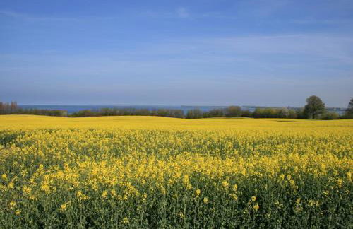 Moderne Ferienwohnung in Kluetz in Strandnahe - Foto 30