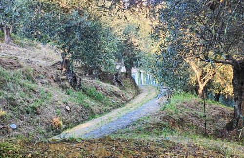 Massaciuccoli Romana - Foto 34