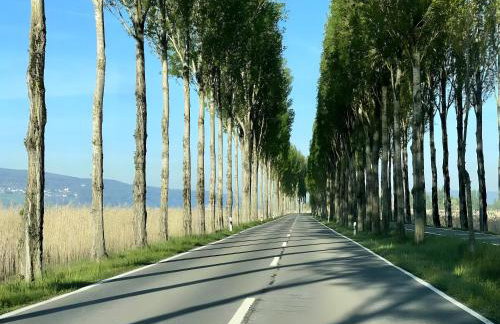 Seezauber direkt am Wasser - Foto 40