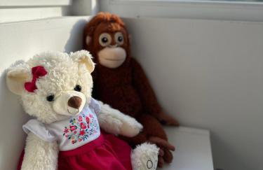 Mr. Sowa Sokolec - Foto 22