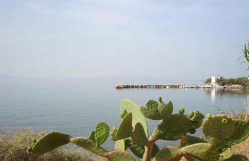 Blue & Sea Studios Apartments - Photo 59