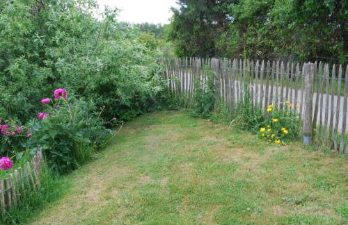 Ostseelandhaus mit Südterrasse und Teich OFC 07 - Foto 15