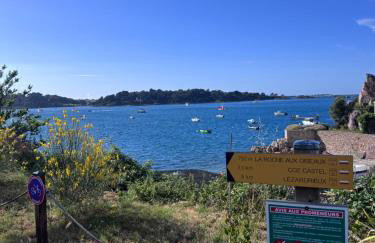 TY LOUIS Au dessus du port & de la plage de Loguivy - Foto 7